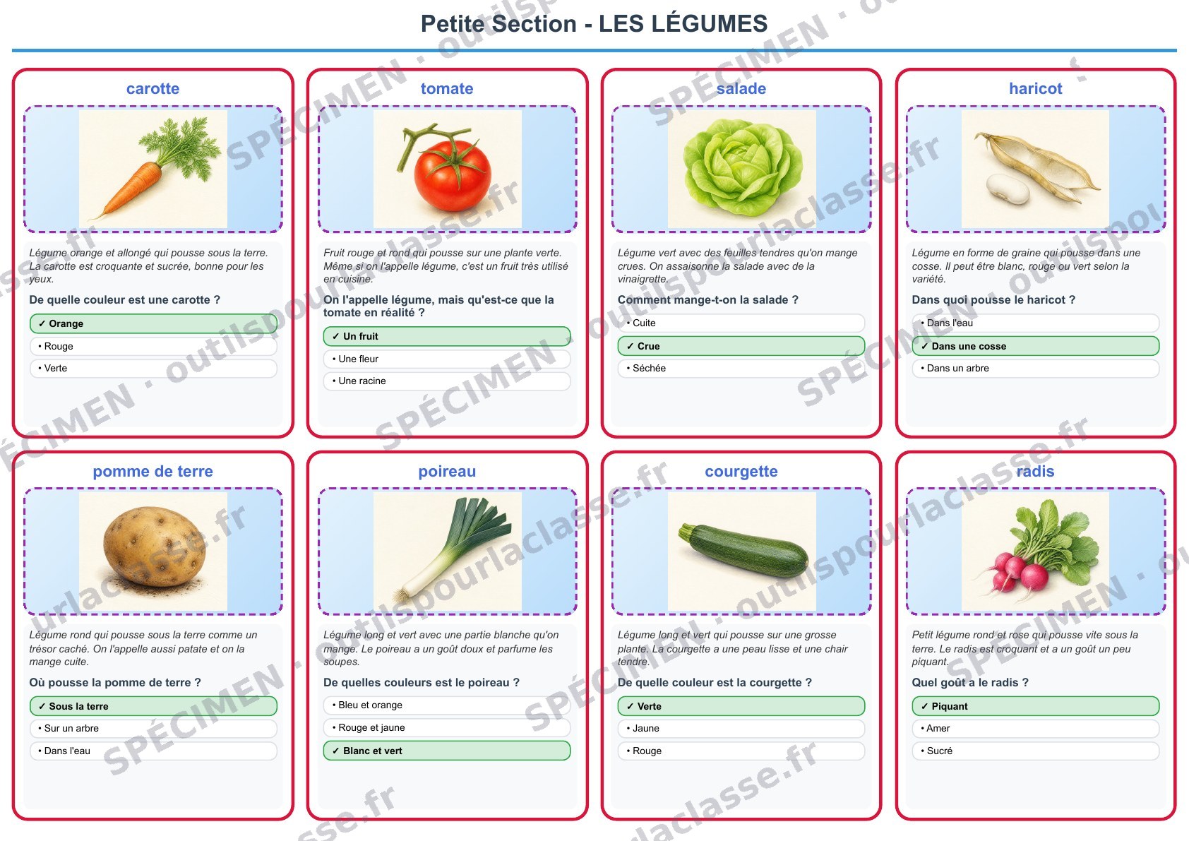 Aperçu du thème 10 : Les légumes