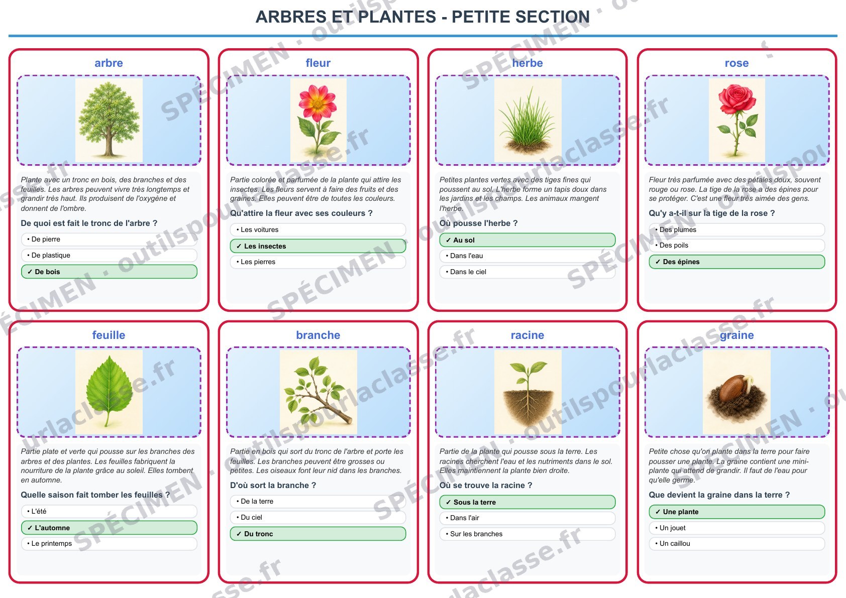 Aperçu du thème 11 : Les arbres et plantes