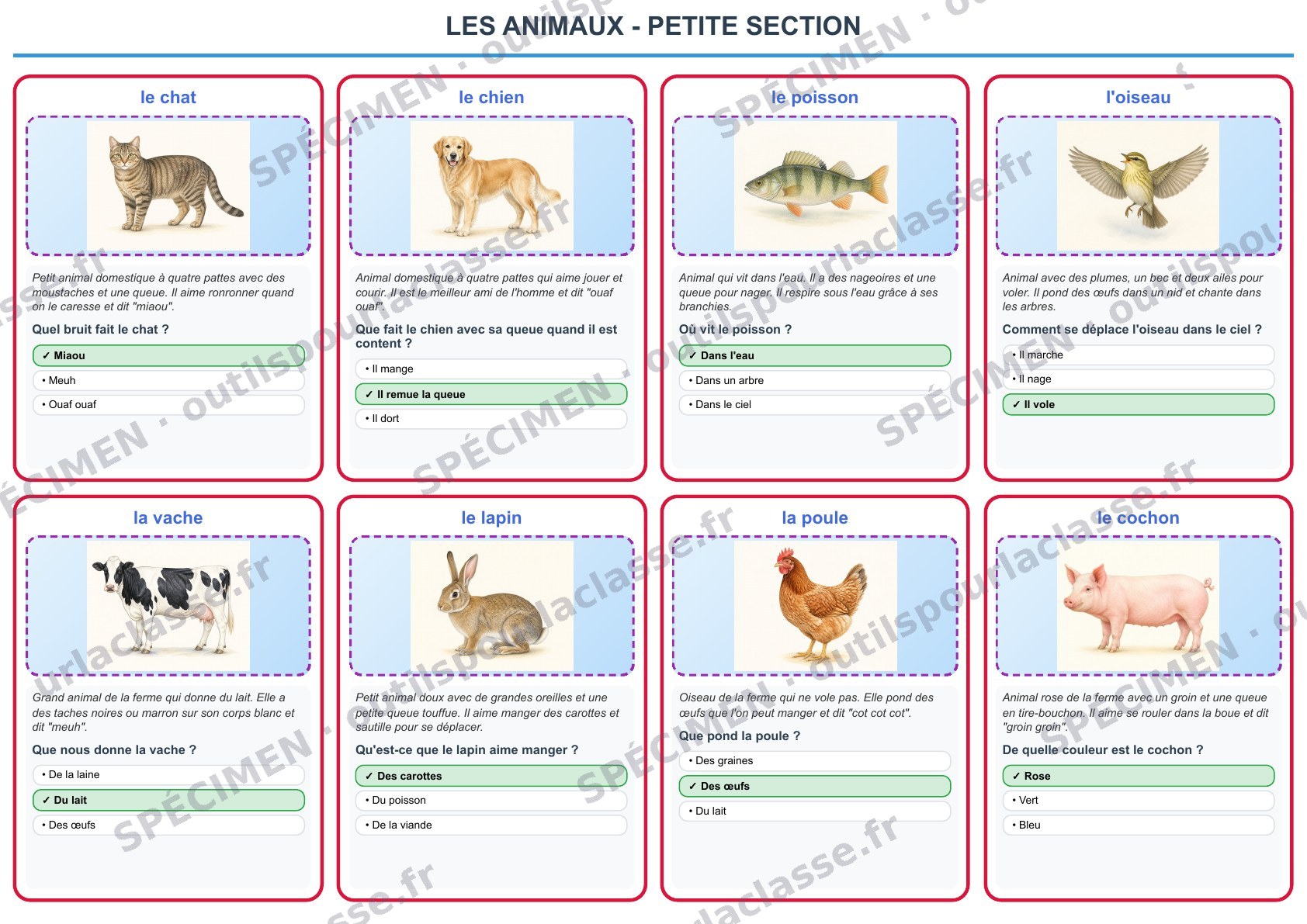 Aperçu du thème 13 : Les animaux