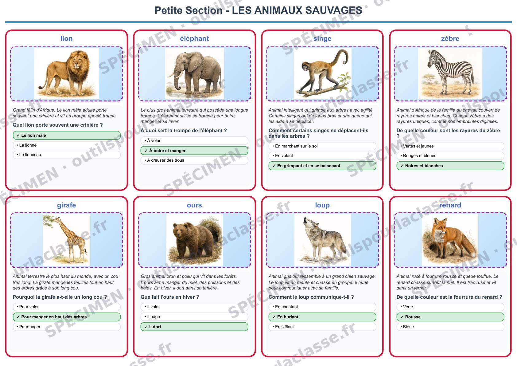 Planche du thème 2 : Les animaux sauvages
