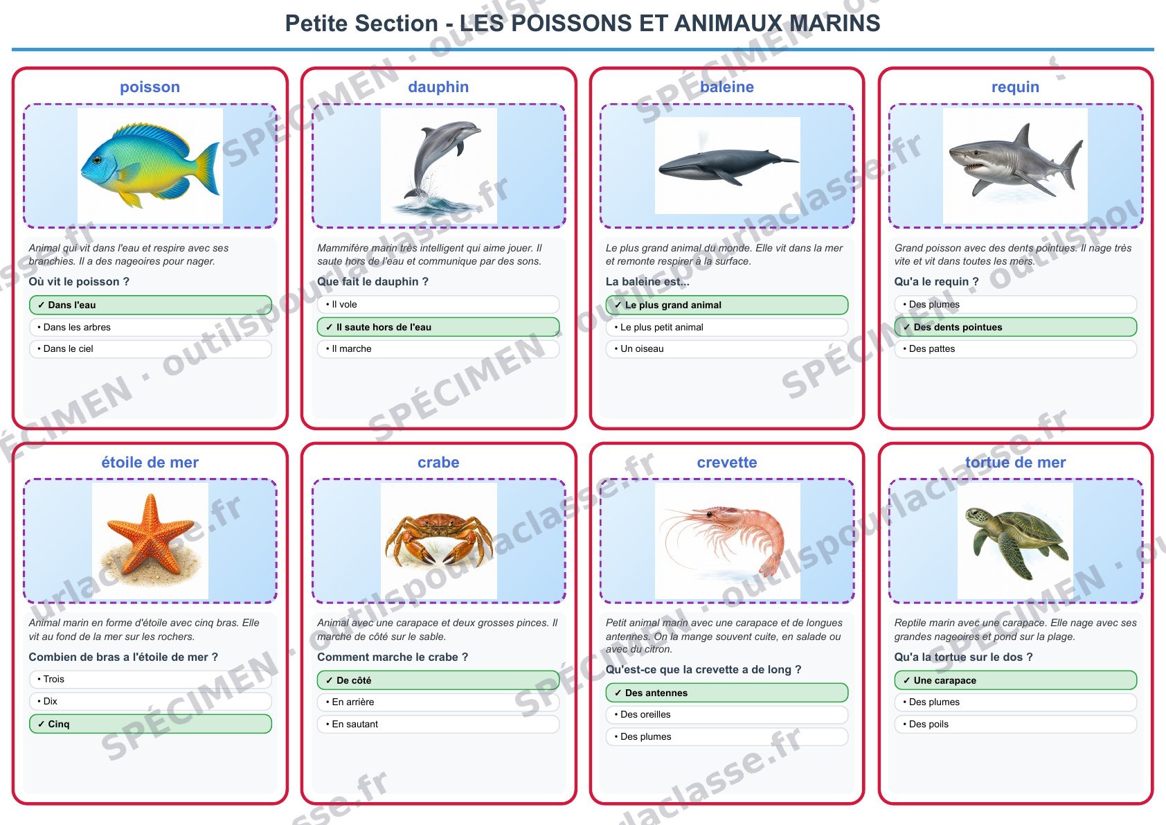 Aperçu du thème 5 : Les poissons et animaux marins