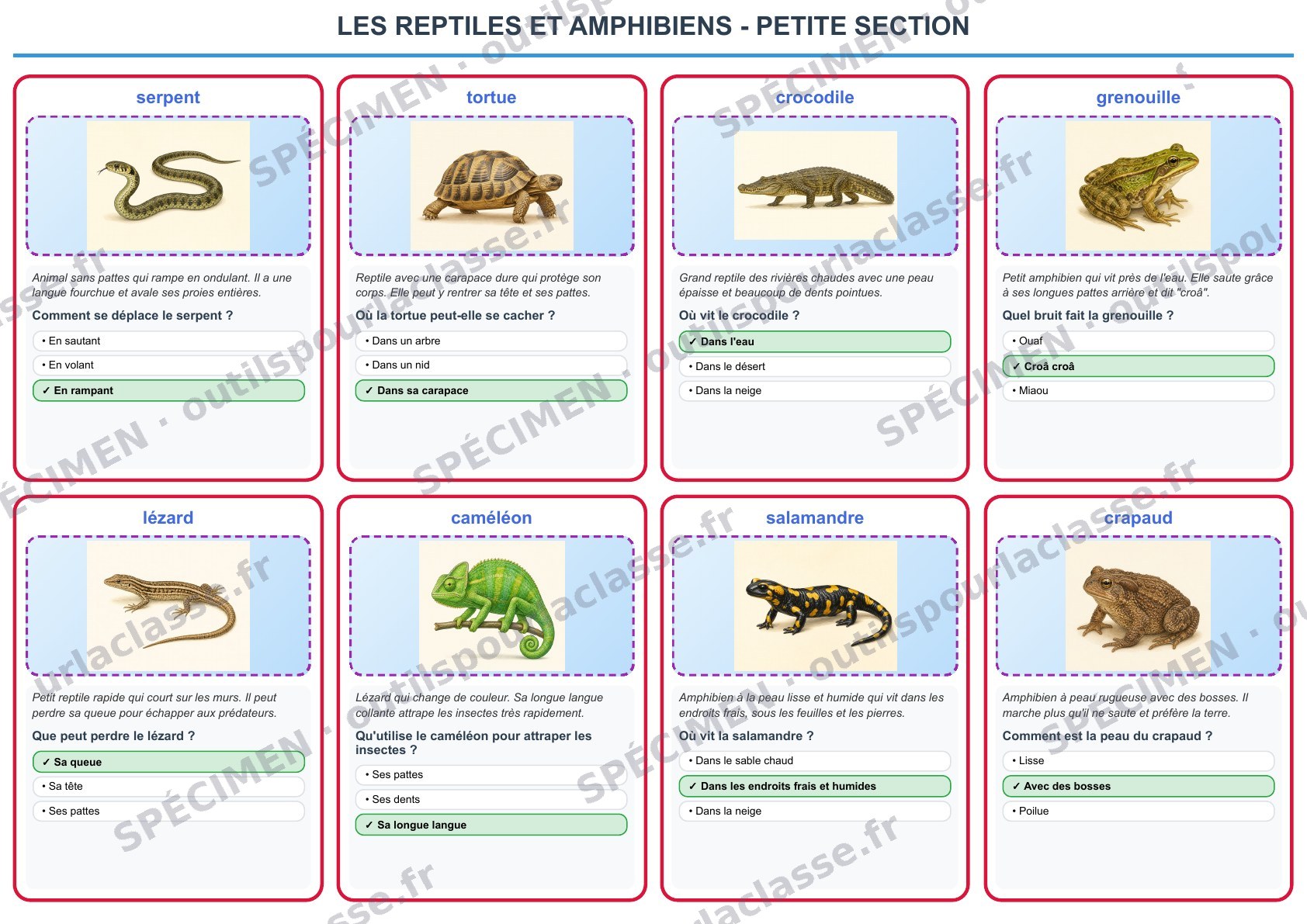 Aperçu du thème 6 : Les reptiles et amphibiens