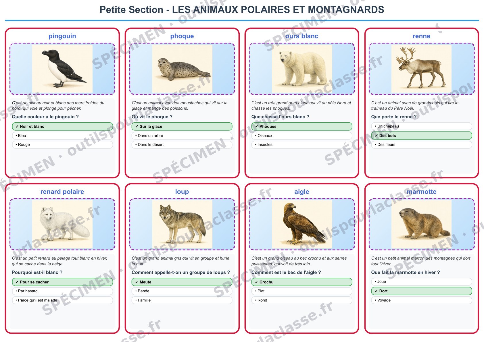 Aperçu du thème 7 : Les animaux polaires et montagnards