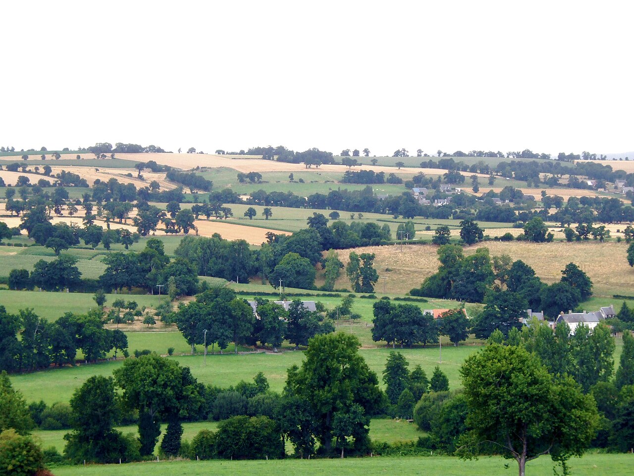 Paysage de bocage normand avec des prés, des champs, des haies et des maisons dispersées.