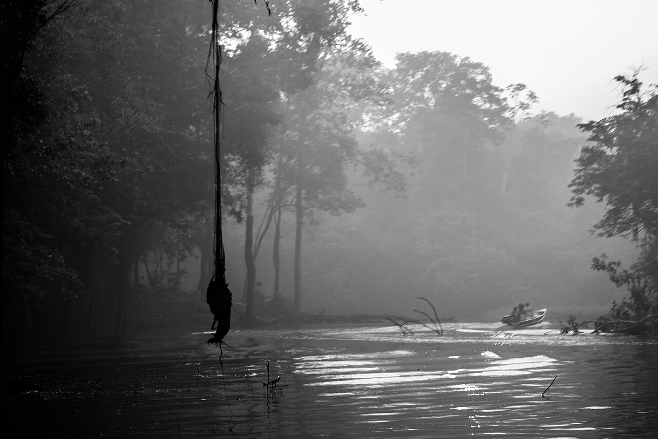 Forêt tropicale brumeuse d’Amazonie traversée par une rivière ; une petite embarcation est visible au loin.